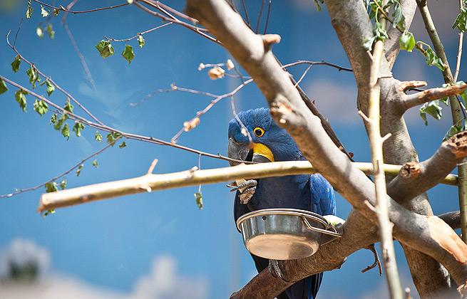 帮忙推荐手机号测压