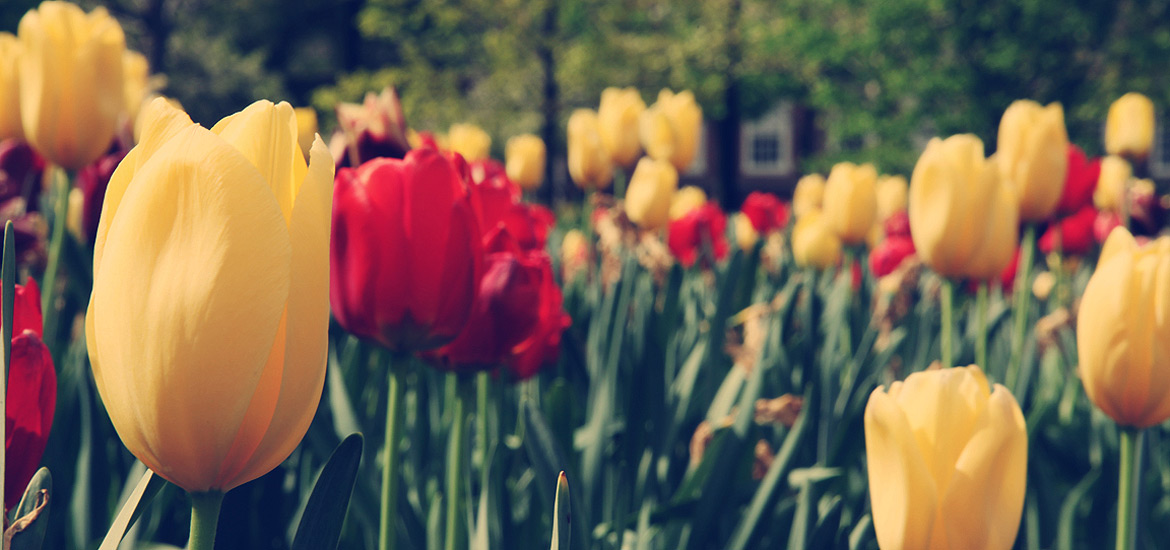 免费电话轰炸软件