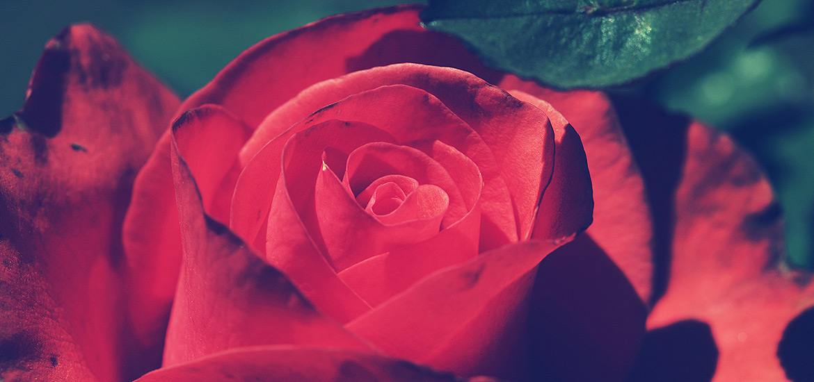 短信验证码轰炸网址免费